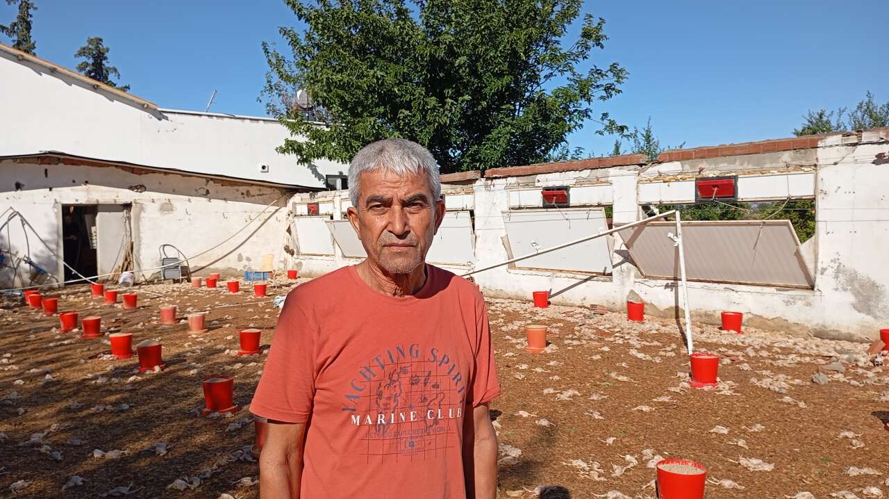 Tavuk çiftliği talan oldu, 20 bin civciv öldü 6